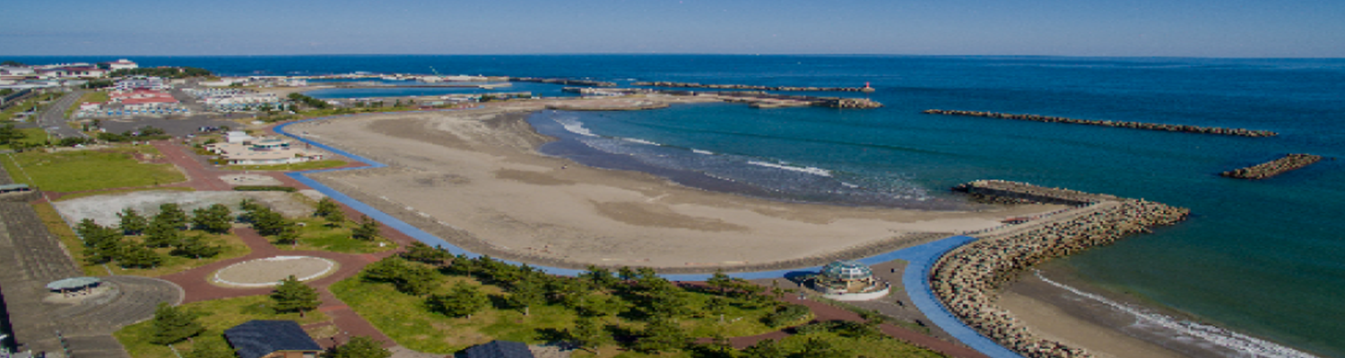 岩手県洋野町 東北地図