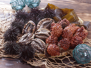 ウニやホヤ